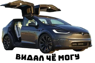 Sticker TeslaZhuk - 8
