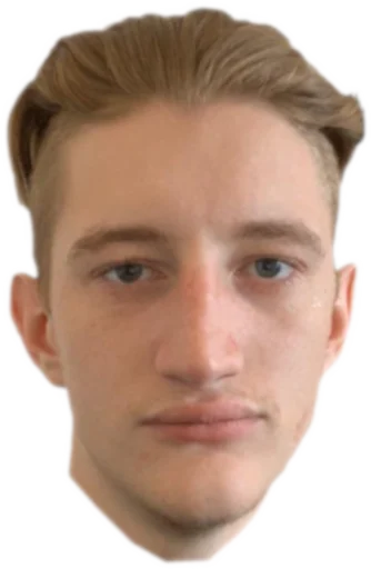 human face eyebrow forehead