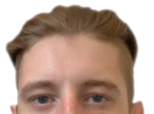 human face eyebrow forehead