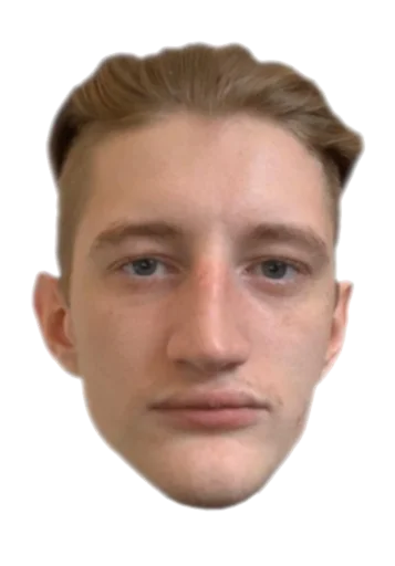 human face forehead eyebrow