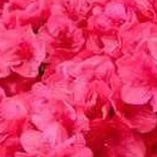 🔞СТИКЕРЫ ТУТ: @Anonim_sx_bot - 