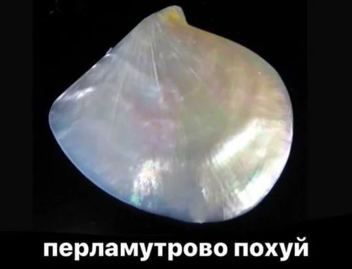 животное беспозвоночный