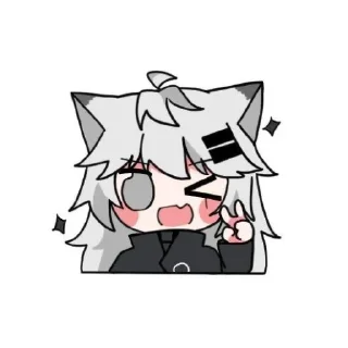 Sticker Texas and Lappland - 5