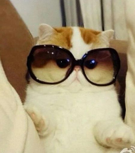 Стикер JeanSatyrKopje :: @fStikBot - 8