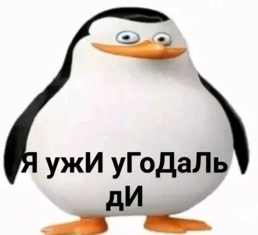 text penguin aquatic bird