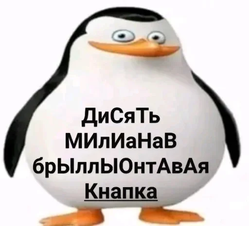 text penguin aquatic bird