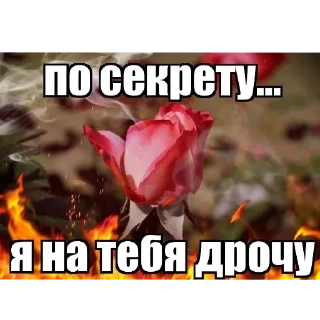 text flower screenshot