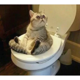 Стикер @vipslive - 4