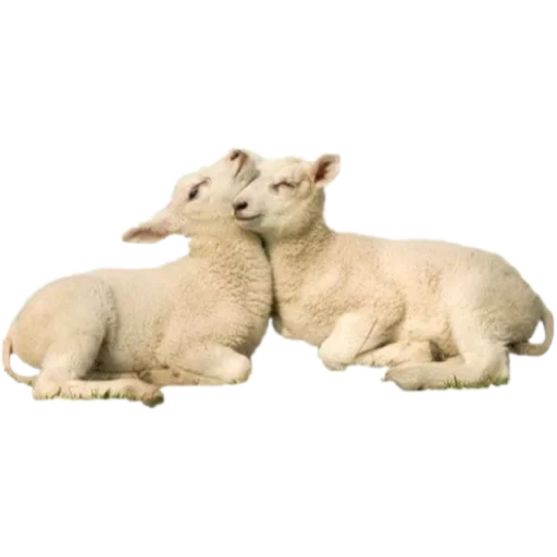 Sticker Some things from @thebrownsocks - 9