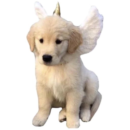 Sticker Some things from @thebrownsocks - 2