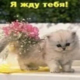 Sticker Лучший Отстой - 1