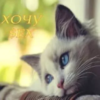 Sticker Лучший Отстой - 5