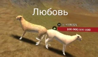 Стикер The cheetah @MoiStikiBot - 0