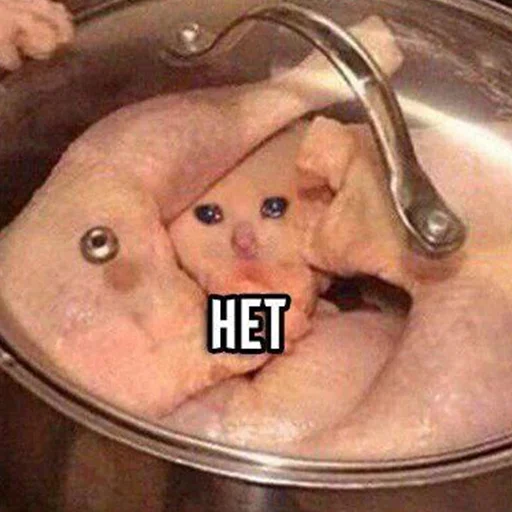 комнатный млекопитающее животное