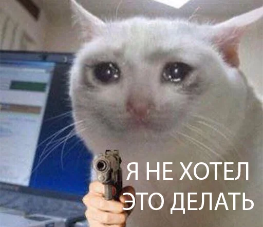 СМС млекопитающее животное