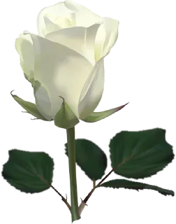 Стикер ⚜The Divine Source Of Love⚜ - 6