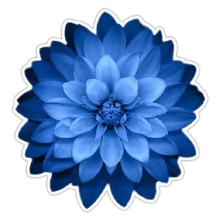 Стикер ⚜The Divine Source Of Love⚜ - 2