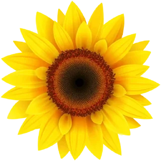 Стикер ⚜The Divine Source Of Love⚜ - 7