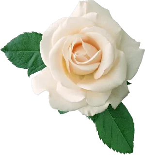 Стикер ⚜The Divine Source Of Love⚜ - 3