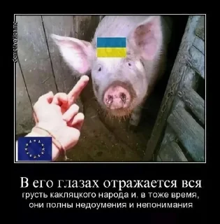 Sticker @thefuhrerofficial заходи - 10