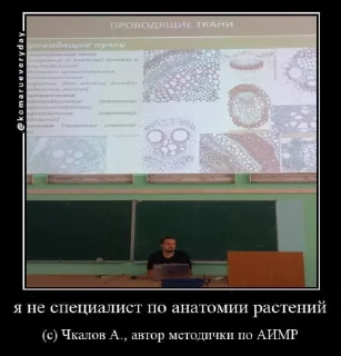 Sticker 🪬 божества ибебеме 🪬 - 2