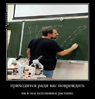 Sticker 🪬 божества ибебеме 🪬 - 7