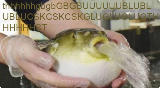 животное Человек птица