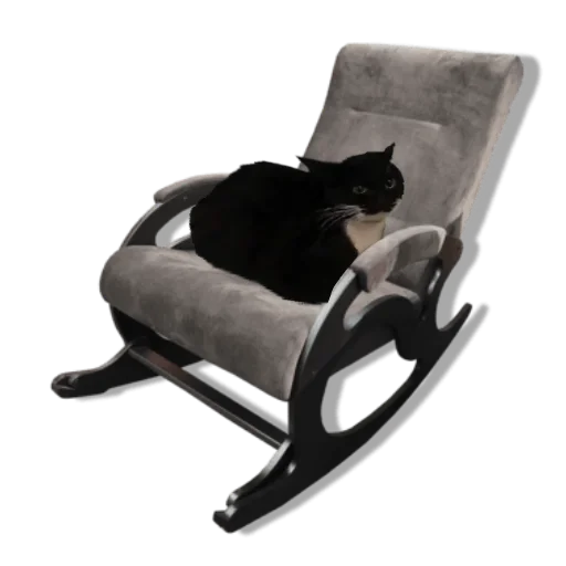 furniture chair cat