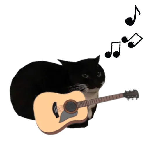 musical instrument guitar music