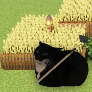 Sticker Maxwell the Cat - 9