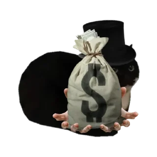 Sticker Maxwell the Cat - 4