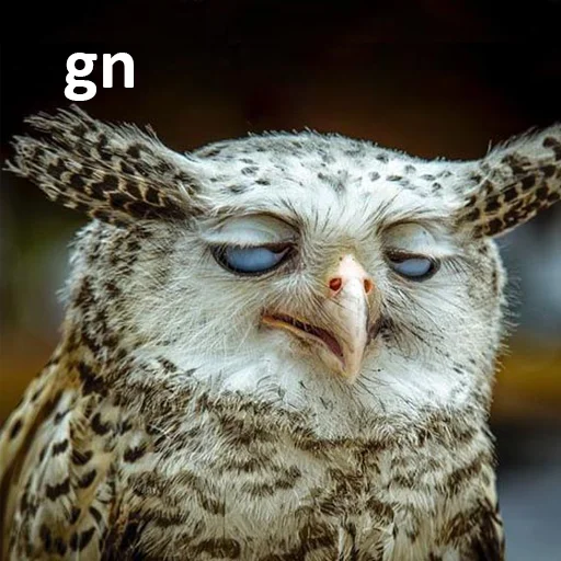 Стикер TheOtherDAO - 9