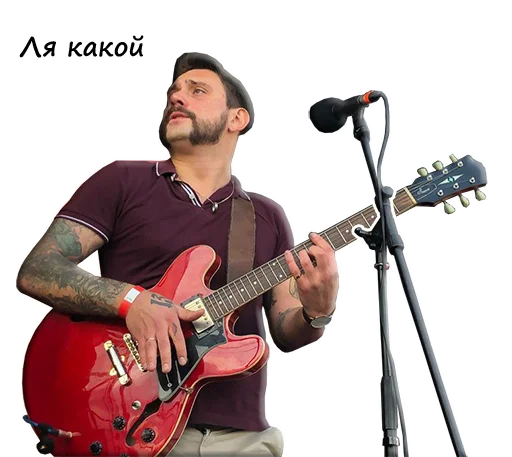 musical instrument guitar concert