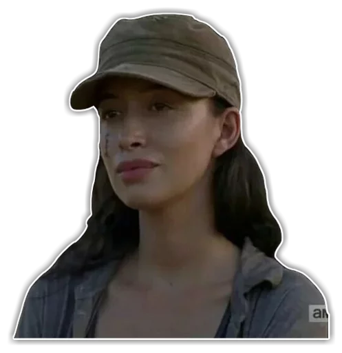 Sticker TheWalkindDead - 1