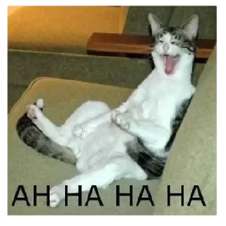 Sticker Инцидент в Вайоминге - 3