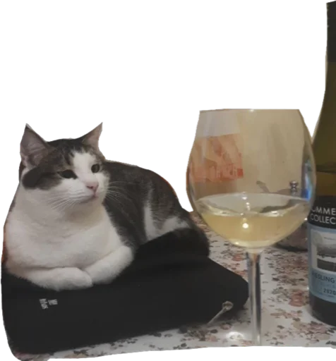 Sticker The Fear - 7