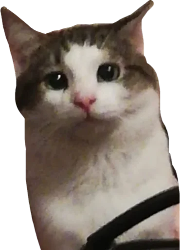 Sticker The Fear - 6