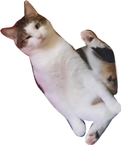 Sticker The Fear - 2