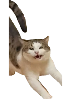 Sticker The Fear - 0