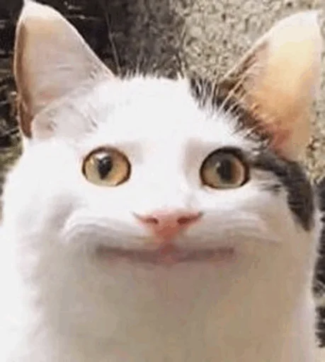 Стикер The fucking legends(part3 legends) - 6