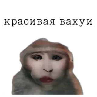 Sticker Вахуи - 10