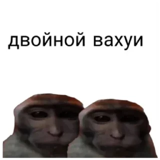 Sticker Вахуи - 0