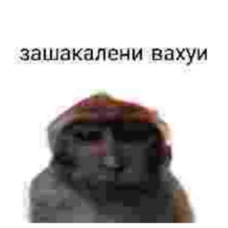 Sticker Вахуи - 5