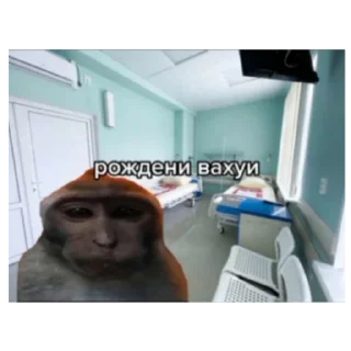 Sticker Вахуи - 11