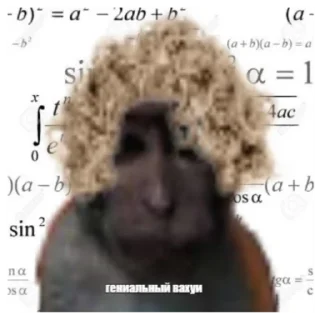 Sticker Вахуи - 3