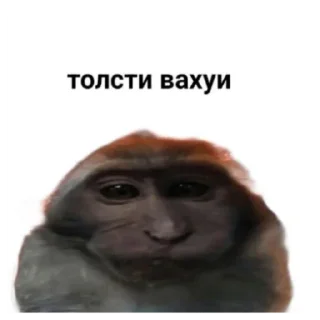 Sticker Вахуи - 2