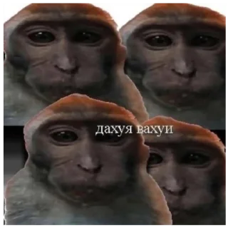 Sticker Вахуи - 8