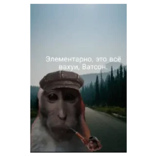 Sticker Вахуи - 1