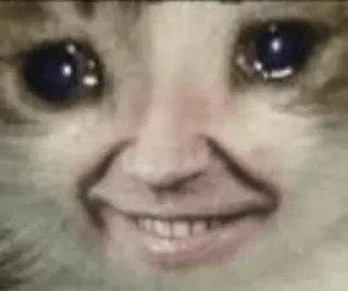 Sticker The meme dream - 1