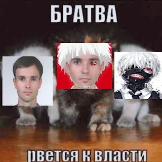 Стикер роутер - 8